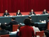 张高丽看望致公、侨联、对外友好界委员并参加讨论