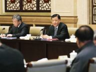 刘云山看望文艺界委员并参加讨论