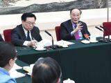 王岐山参加青海代表团审议