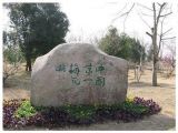 150公斤炸药炸开汪精卫墓