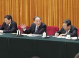 王岐山参加湖南代表团审议