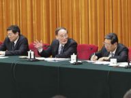 王岐山参加湖南代表团审议