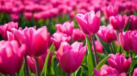 宣讲家网评论丨坚决刹住弄虚作假的恶劣作风 