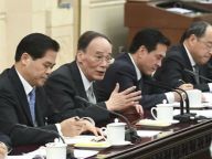 王岐山参加云南代表团审议