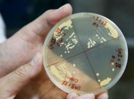 “再造生命”：迈进一大步