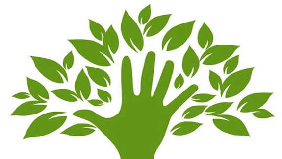 三月，我们去植树