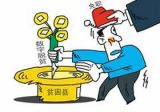 践行“绣花”论，力防脱贫造假