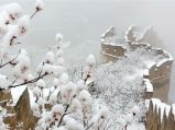 【这里是北京】春雪映长城
