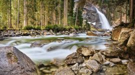 宣讲家网评论丨准确把握政府精准施策 