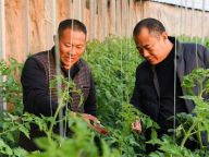 兰考：“精神高地”的脱贫记