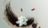 长寿名医话养生—郁仁存（2）