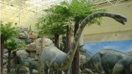 北京自然博物馆——恐龙之最