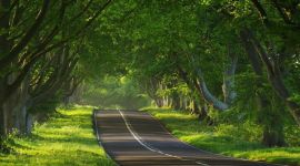 宣讲家网评论丨以常态化之力 铸就先锋之魂 