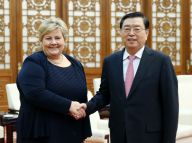 张德江会见挪威首相索尔贝格