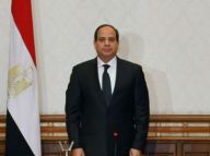 塞西：埃及将进入紧急状态