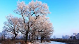 宣讲家网评论丨努力提升“两学一做”学习教育的质量效益 