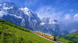 宣讲家网评论丨构筑坚固不腐的堤坝需“学教为先” 