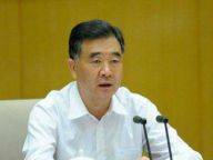 汪洋：狠抓互联网领域综合治理