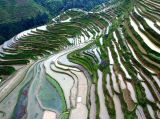 【大美中国】春耕时节看梯田