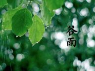 古诗词：谷雨时节“咏”春词
