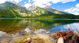 宣讲家网评论丨大力发展党内民主 增强党委班子团结 