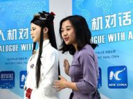 特约记者：中国智能机器人