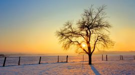 宣讲家网评论丨徐云鹏：在坚持问题导向中狠抓改革落实 