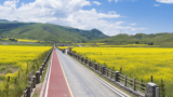 中国前期的经济政策正在收获成果的道路上