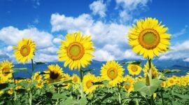 宣讲家网评论丨张记合：青年人的奋进是国家富强的强大力量 