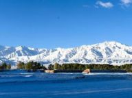 【大美中国】暮春飞雪入画来