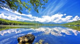 宣讲家网评论丨徐云鹏：珍惜政治生命严把名节和操守是关键 