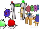 用好“模子”画好“像”