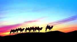 宣讲家网评论丨造福人类命运共同体的必由之路 