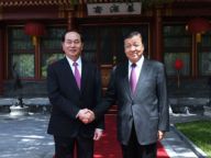 刘云山会见越南国家主席陈大光