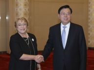 张德江分别会见三国元首