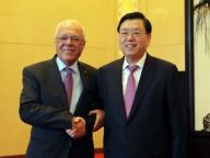 张德江会见巴勒斯坦总统府秘书长