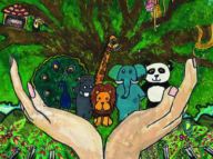 关注生物多样性：关注自己