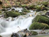 生物多样性：尽享可持续旅行中的纷繁美丽