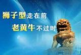 以“狮子型”的名义干事创业