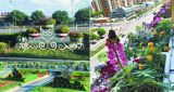 1500亩城市花园装点北京南城