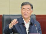 汪洋：促进提高脱贫攻坚工作质量