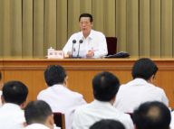 张高丽：要坚定改革强军的正确方向