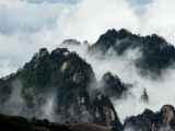 【大美中国】黄山：一幅水墨画卷