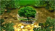 扈纪华：民法典时代，个人信息和网络虚拟财产如何保护？
