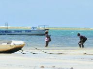 蒙内铁路：带热区域经济