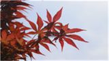 部署北京市未来五年发展主要任务