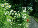 夏至：最早被确定的节气