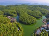 【大美中国】蜀南竹海：一片绿色海洋