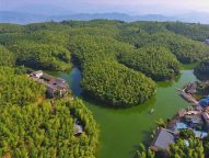 【大美中国】蜀南竹海：一片绿色海洋