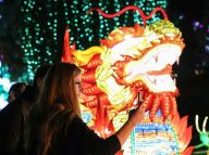 感知中国环球灯会：汉堡行
